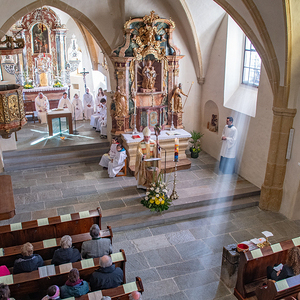 Martini mit Weihbischof Johannes Freitag